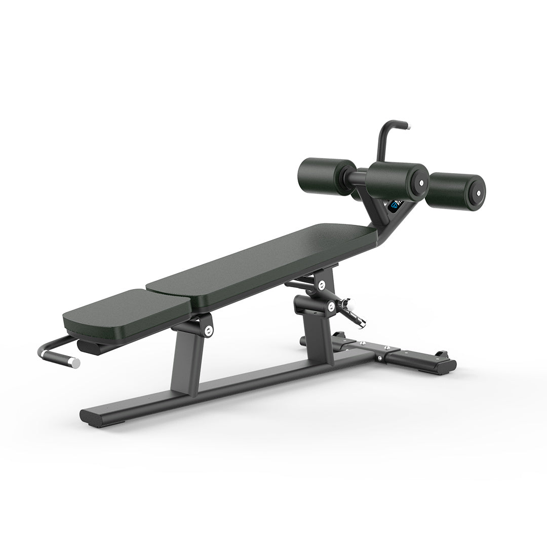 SF-PRO1-AB Adjustable Abdominal Bench