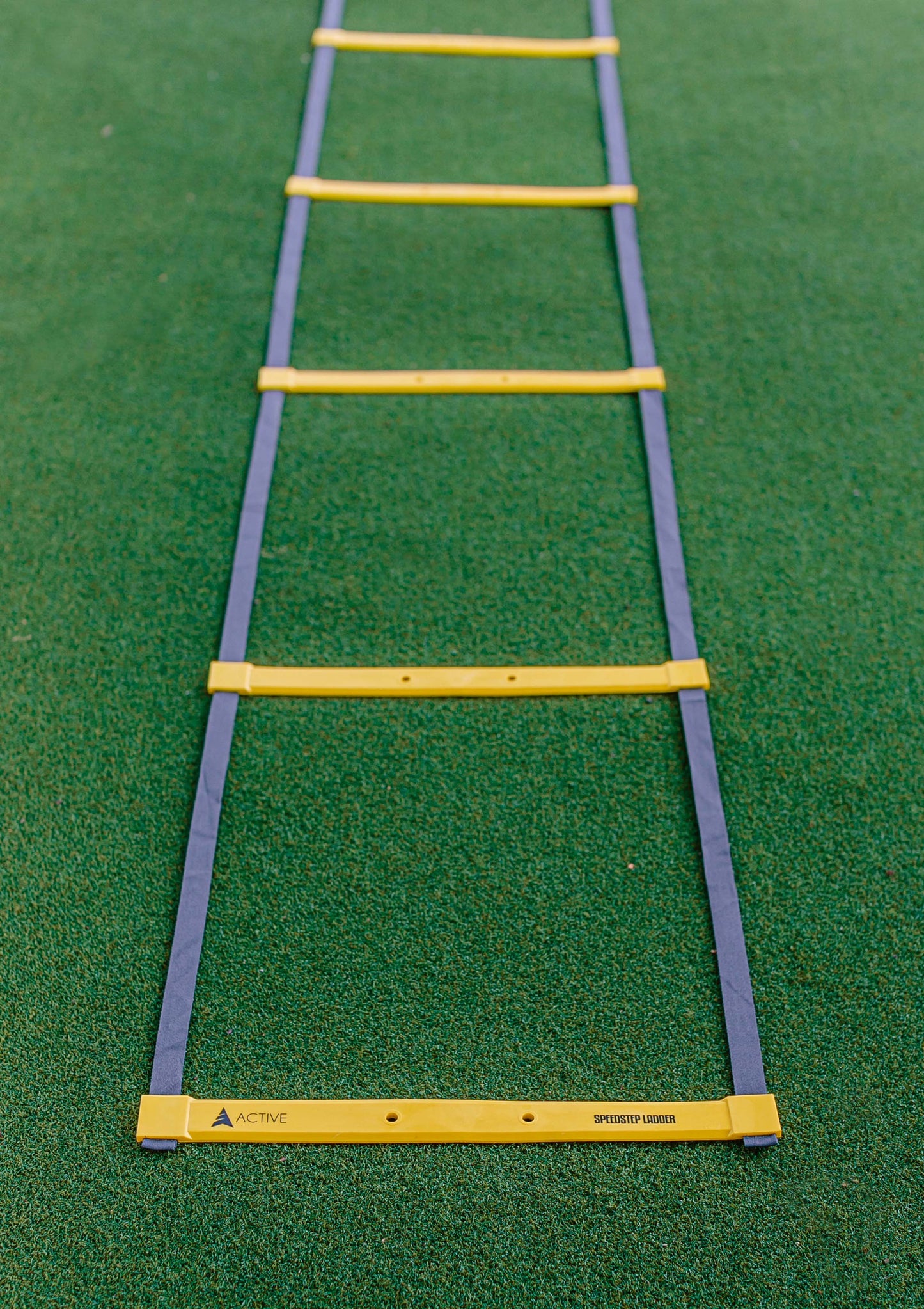 Speedstep Ladder